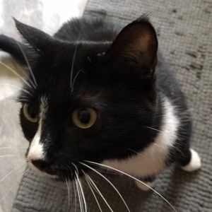 Meet your Posher, Monica